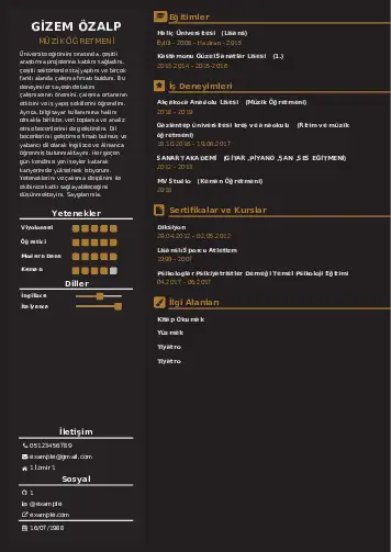 Müzik Öğretmeni Cv Örnekleri cv indir